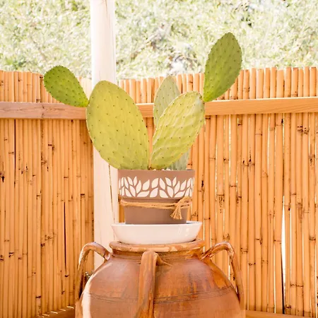 Trullo Manivida * לוקורוטונדו