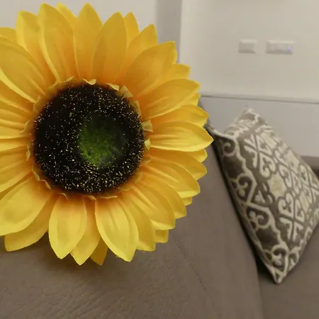 Trullo Manivida Ferienhaus Locorotondo