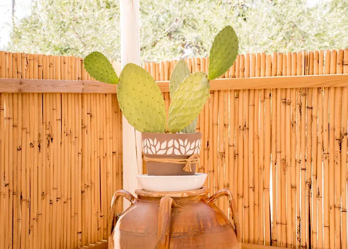 Trullo Manivida * Locorotondo