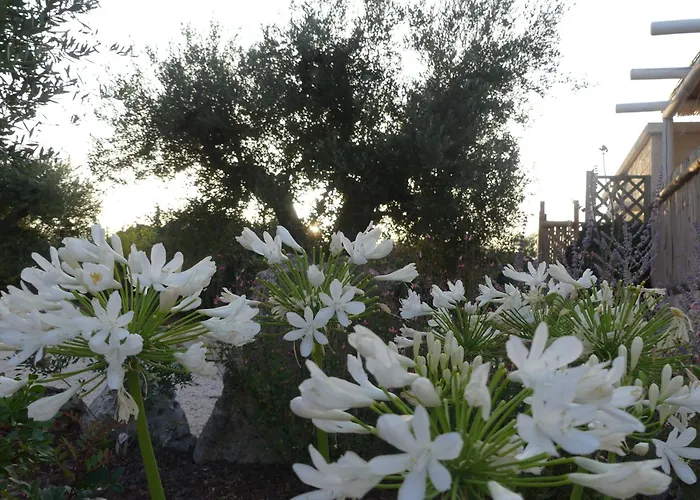 Trullo Manivida Locorotondo
